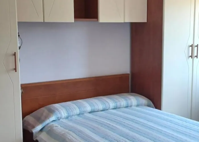 Purple House * Póla