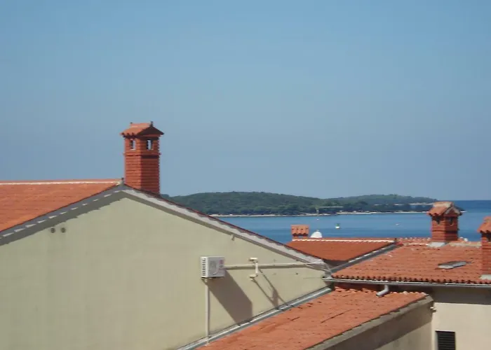 Purple House Daire *