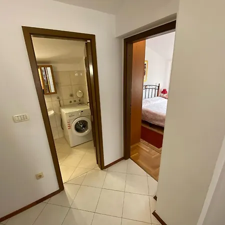 Purple House Apartment